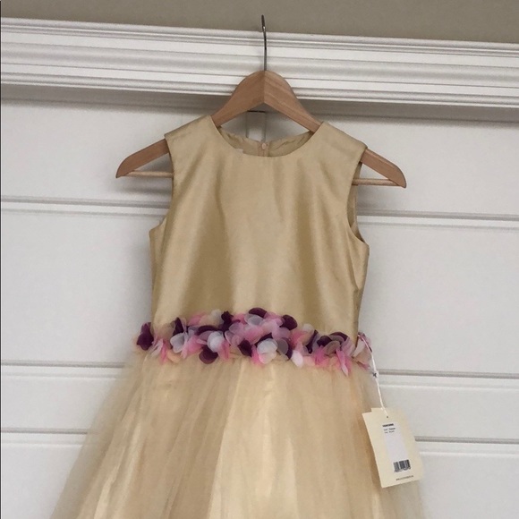 NWT. A-Line floor length flower girl dress - Picture 4 of 7